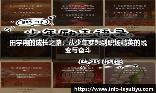 乐鱼体育官网