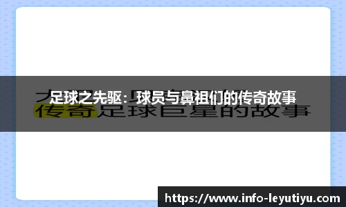 乐鱼体育