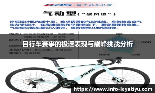 乐鱼体育官方网站